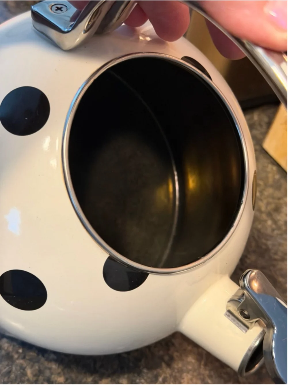 Kate Spade New York Deco Dot Whistling Tea Kettle